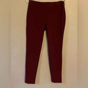 Express Columnist Pants